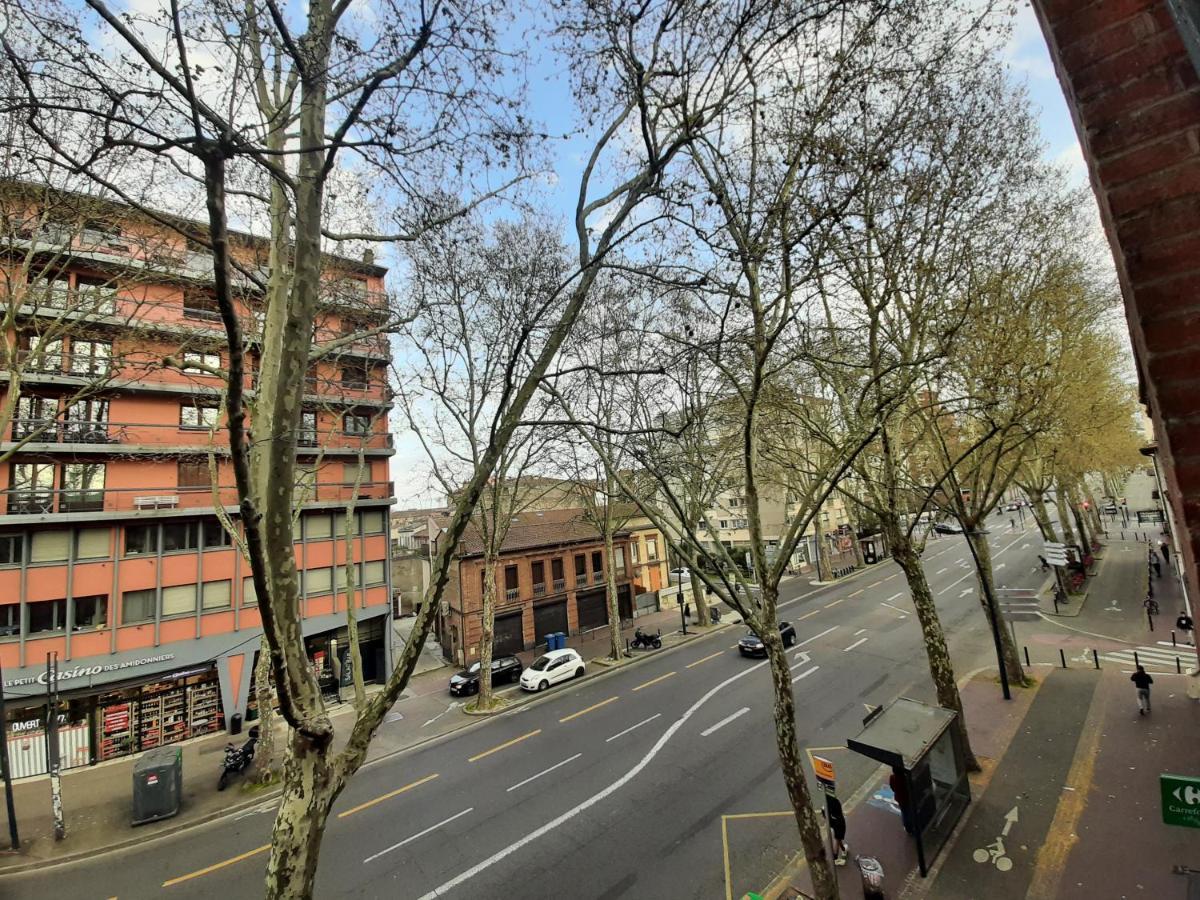 Appartement Pont Des Catalans Toulouse Eksteriør bilde
